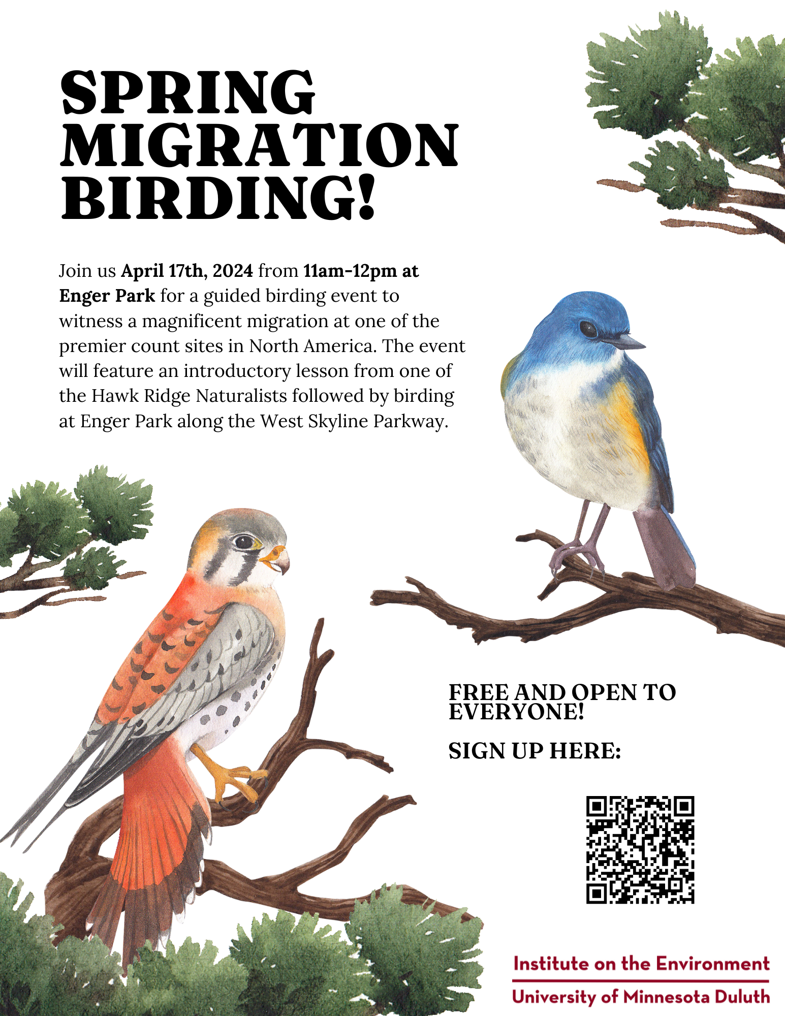 spring migration